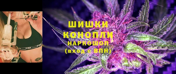 мяу мяу мука Пионерский