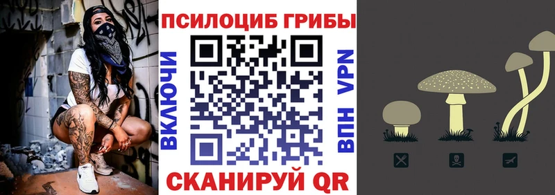 Псилоцибиновые грибы прущие грибы  Бакал 